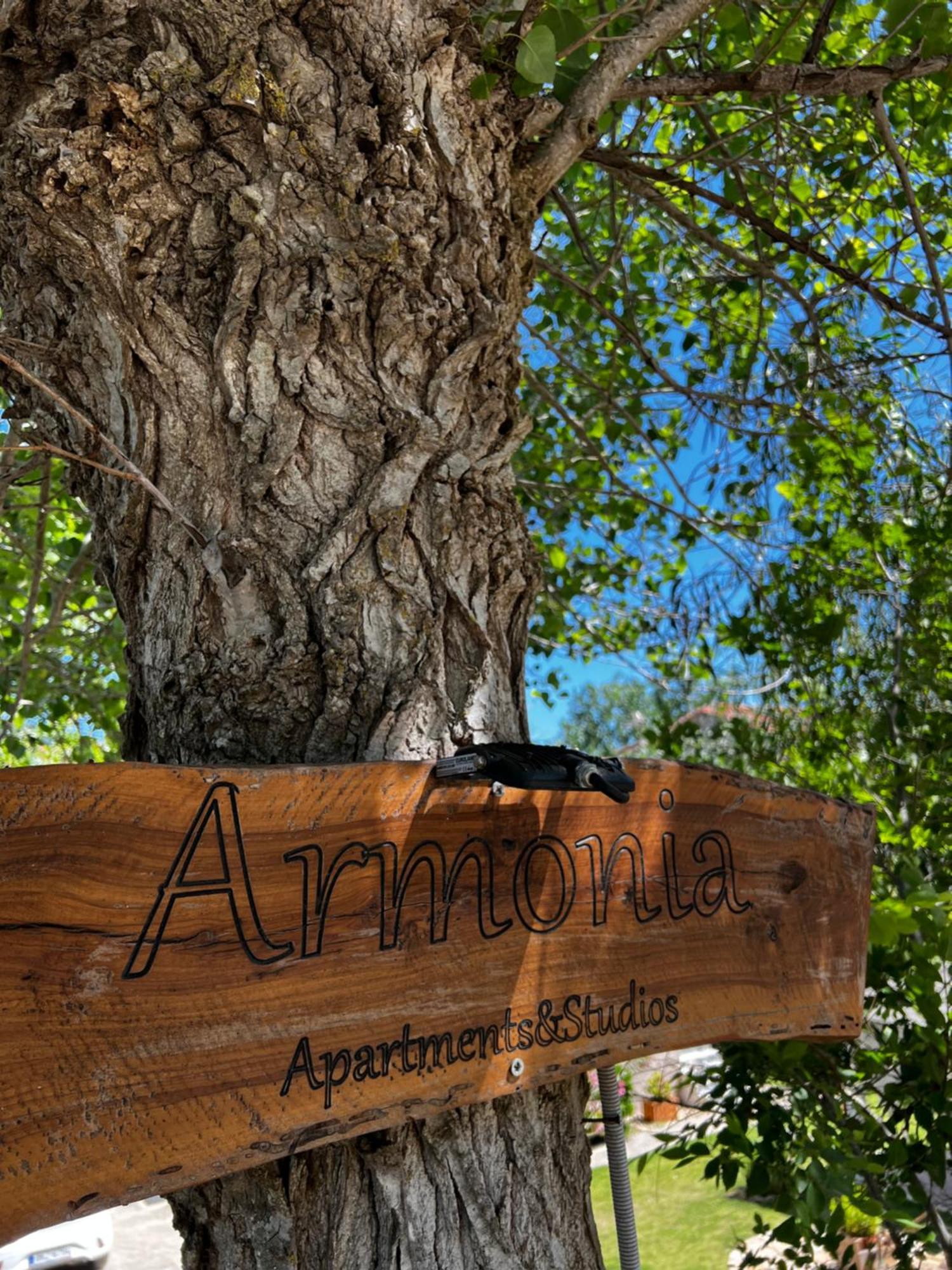 Armonia Apartments & Studios Perivólion Esterno foto